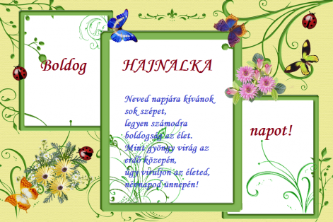 hajnalka.png