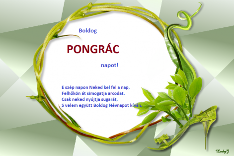 pongrac.png